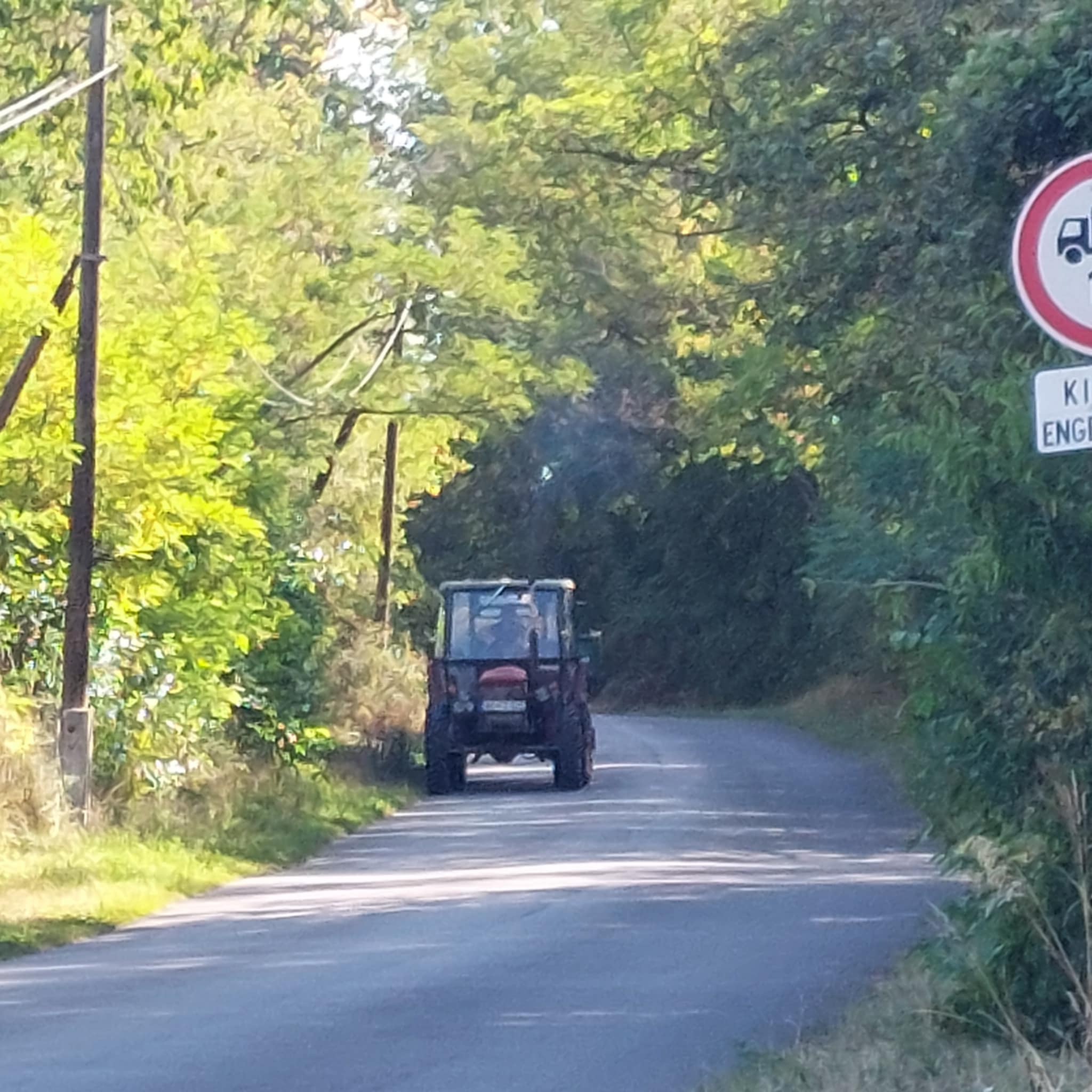 Életmód tábor Kétbodonyban