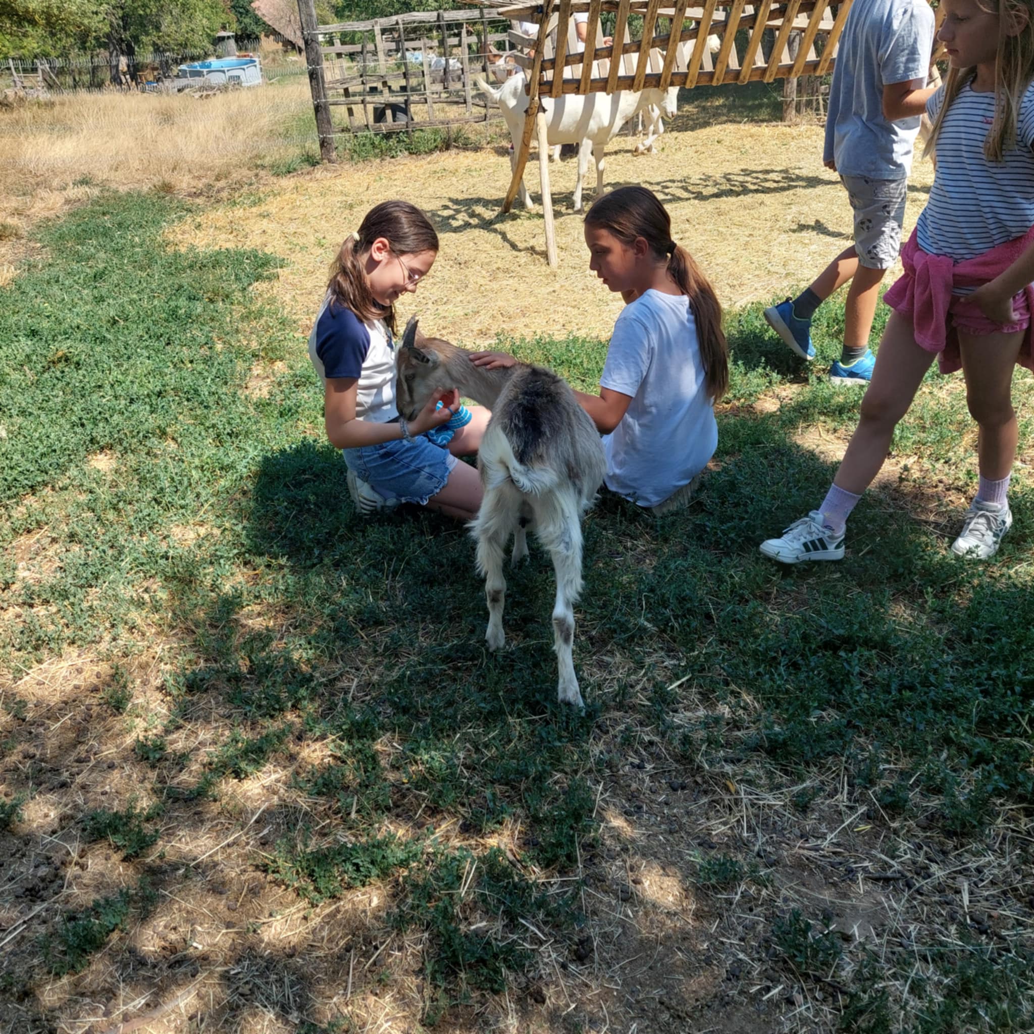 Életmód tábor Kétbodonyban